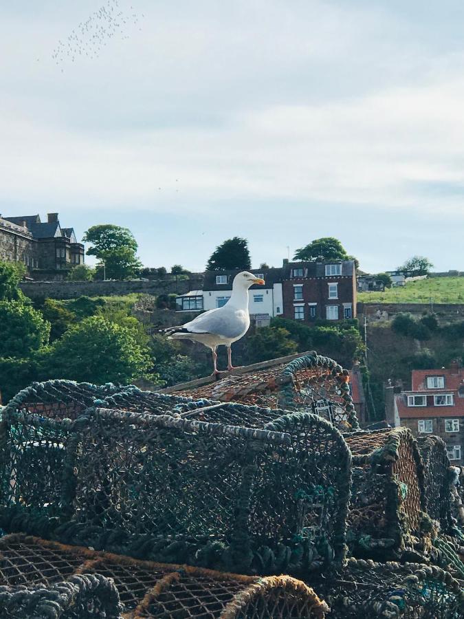 Mooredge B&B Whitby Kültér fotó
